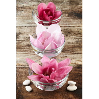 «Three Magnolia» par Gspictures