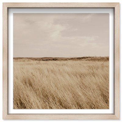 Golden Nature Print by Oliver Gal