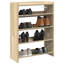 Shoe Rack-895424739