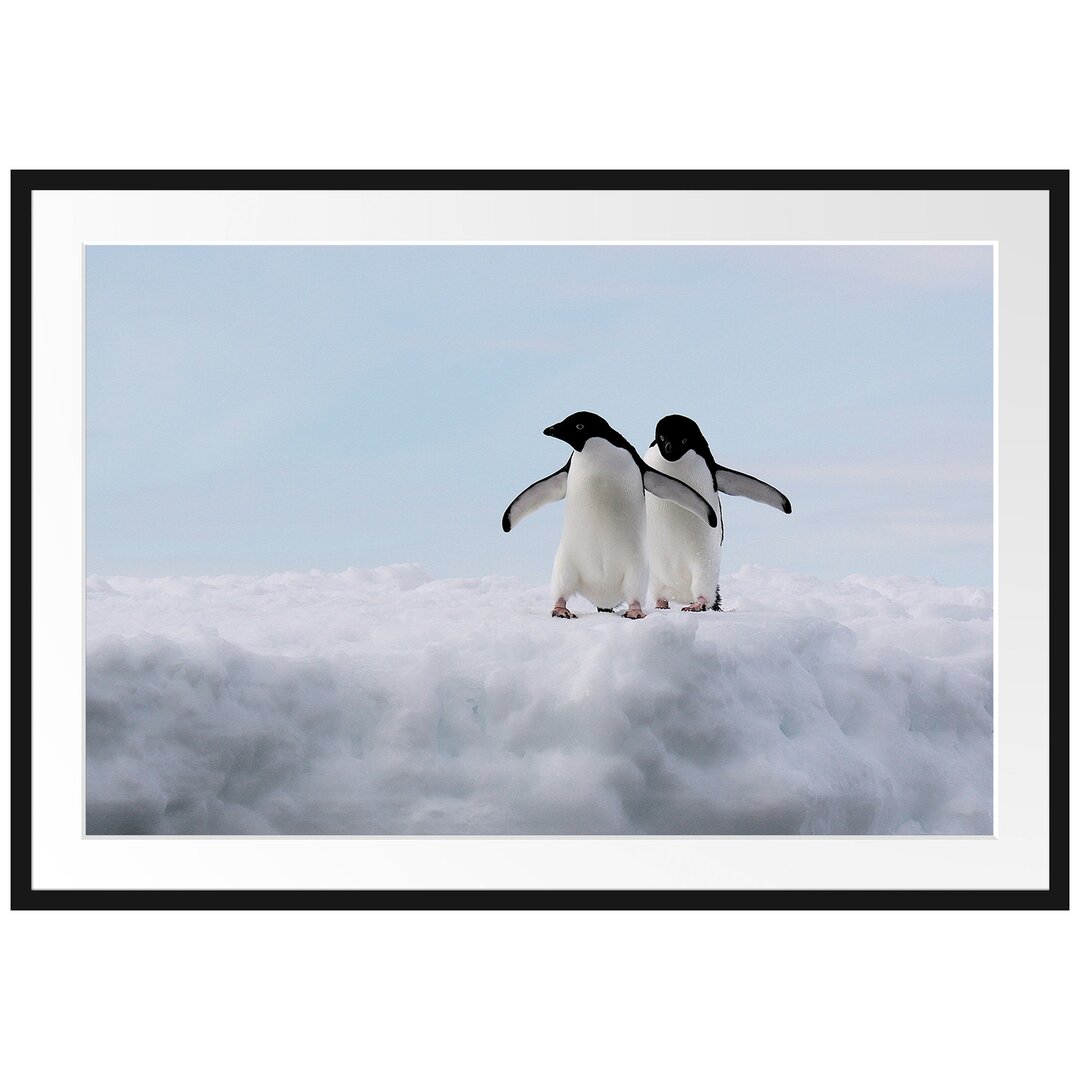 Gerahmter Fotodruck Adelie Penguins on an Ice Floe