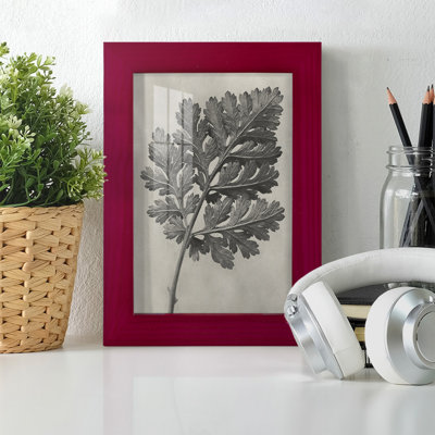 Blossfeldt Botanical III, reproduction d'art encadrée