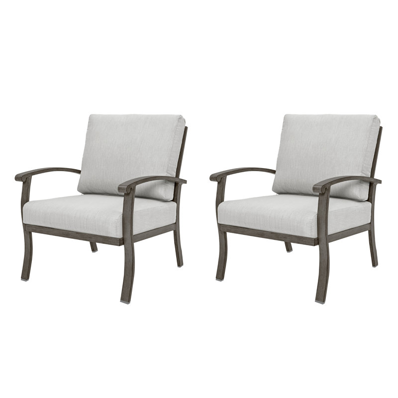Nettleton 2-Piece Aluminum Outdoor Patio Lounge Chairs With Light Gray Cushions
