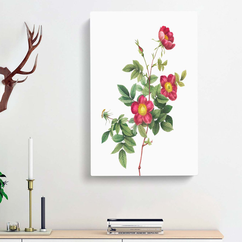 Common Alpine Rose In Pink by Pierre-Joseph Redoute - Wrapped Canvas, 50cm H x 35cm W 