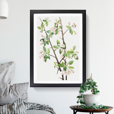 Wild Sweet Crab by Mary Vaux Walcott - Picture Frame Graphic Art