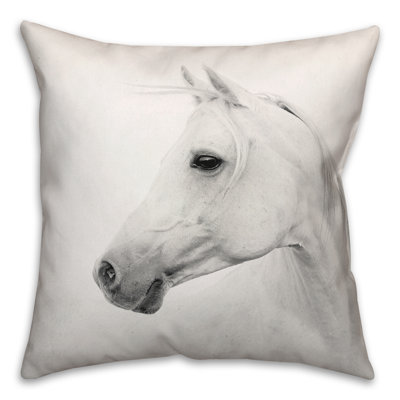  Polyester Throw Square Pillow Cover & Insert