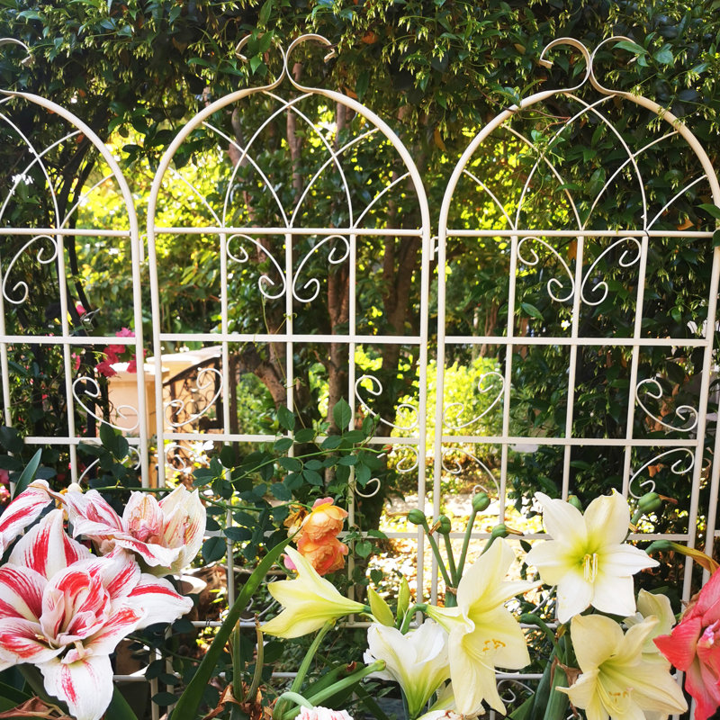 Treillis de jardin en métal 86,7 po x 19,7 po sur 2, rouille blanc crème, pour plantes grimpantes: rose, jasmin, rouille facile, raisin, concombre, assemblage