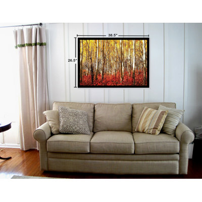 " Red Aspen Grove Birch Trees Forrest "