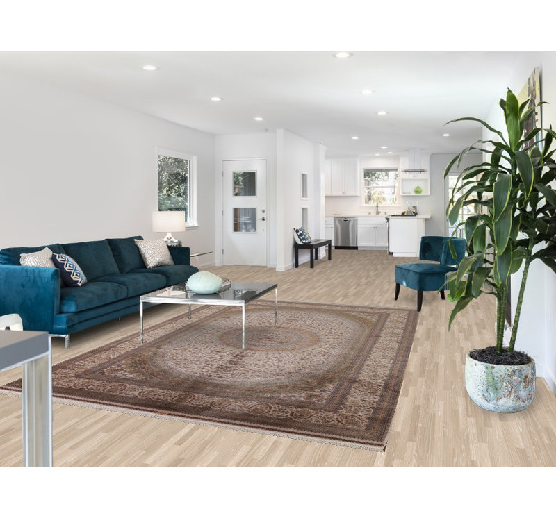 Traditional  Oriental Area Rug 7x10