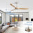 Nicola 60" Ceiling Fan with Remote Control-747933276