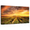 Alvord Barossa Valley Vineyard