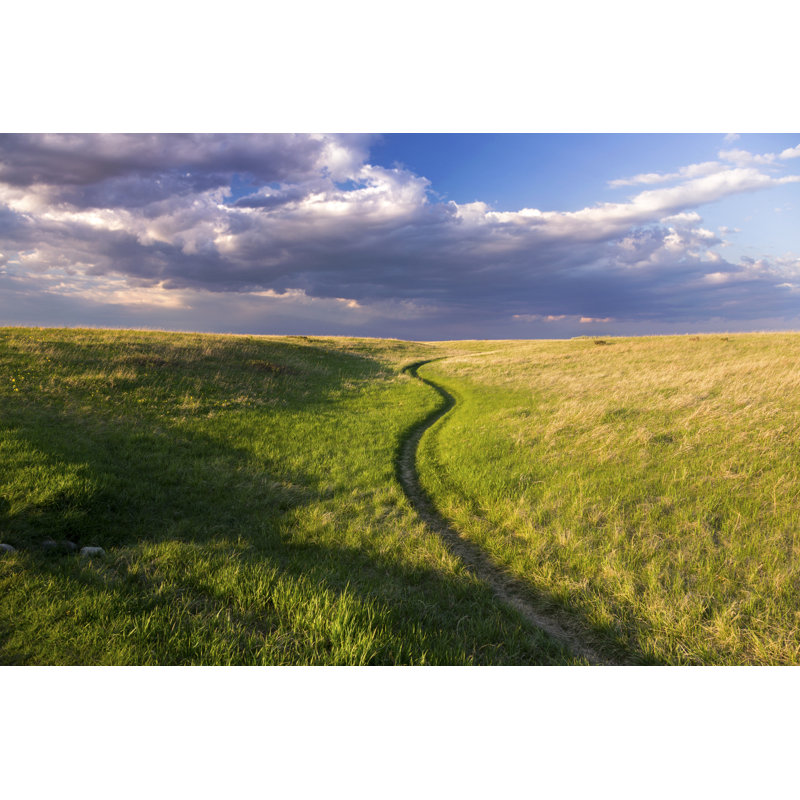 Natural Grassland - Wrapped Canvas Print, 30cm H x 46cm W x 3.8cm D
