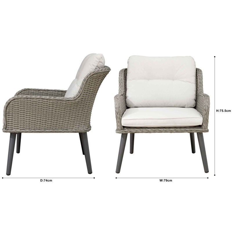 Delyn Patio Dining Side Chair with Cushion