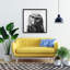 Toile de la chouette scie du Nord | Art mural monochrome animal