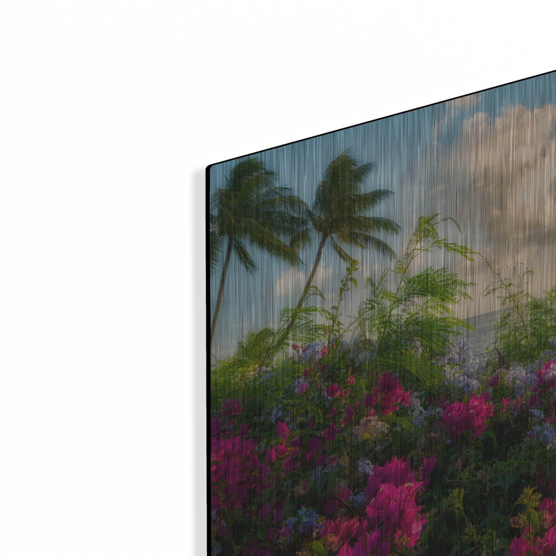 «Hot Pink» par Dennis Frates, H 12 po x l 16 po