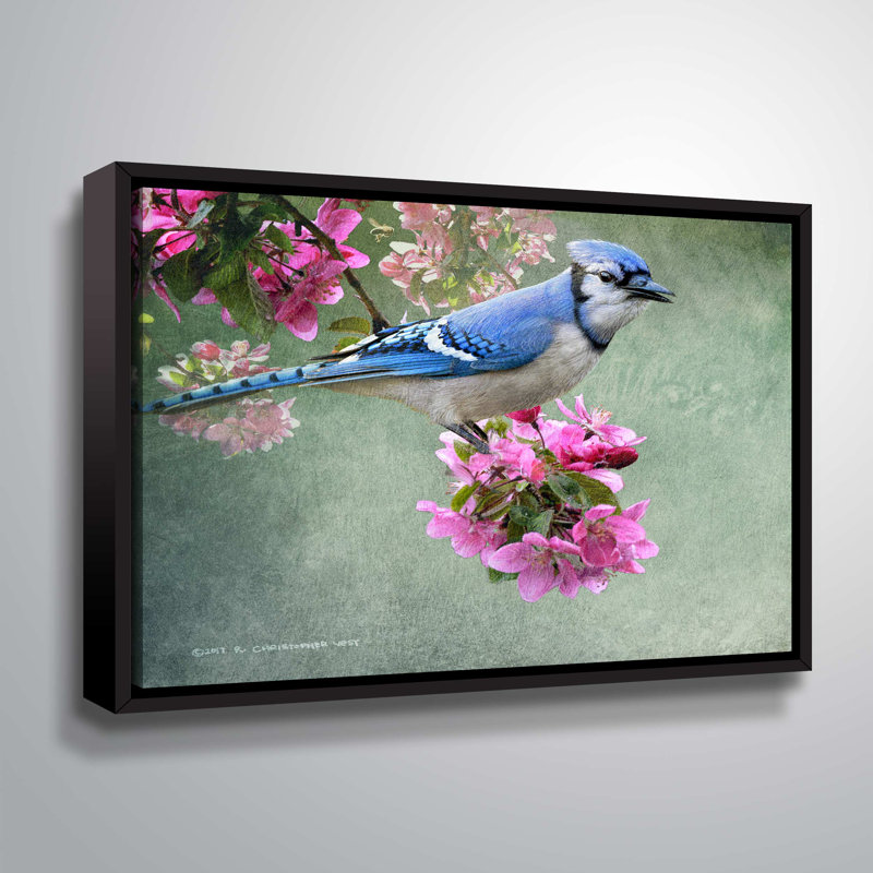 «Bluejay Amid Blooms», reproduction d'impression sur toile, H 8 po x l 10 po x P 2 po, Cadre noir