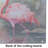 Flamingo Glass Cutting Board Large