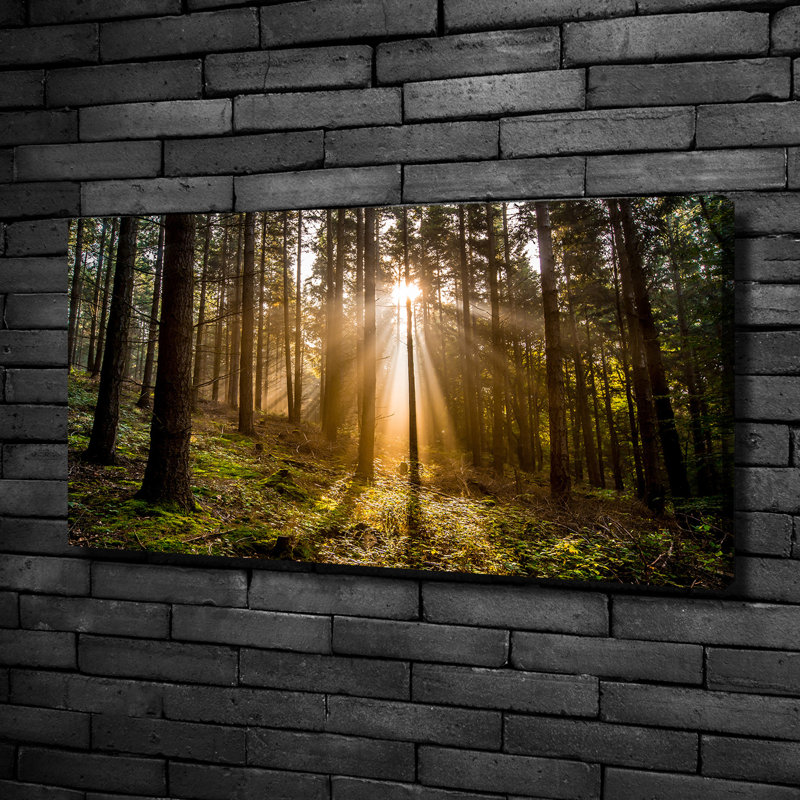 Sunlight - Wrapped Canvas Print