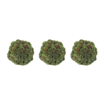 Boules de Sedum décoratives