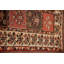 Tapis Garden Design 5 x 9