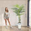 70.87cm Plant