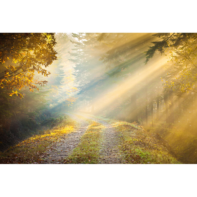 Morning Sun Rays by Konradlew, 12" H x 18" W