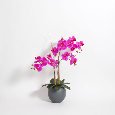 Orchidée florale double 25 po