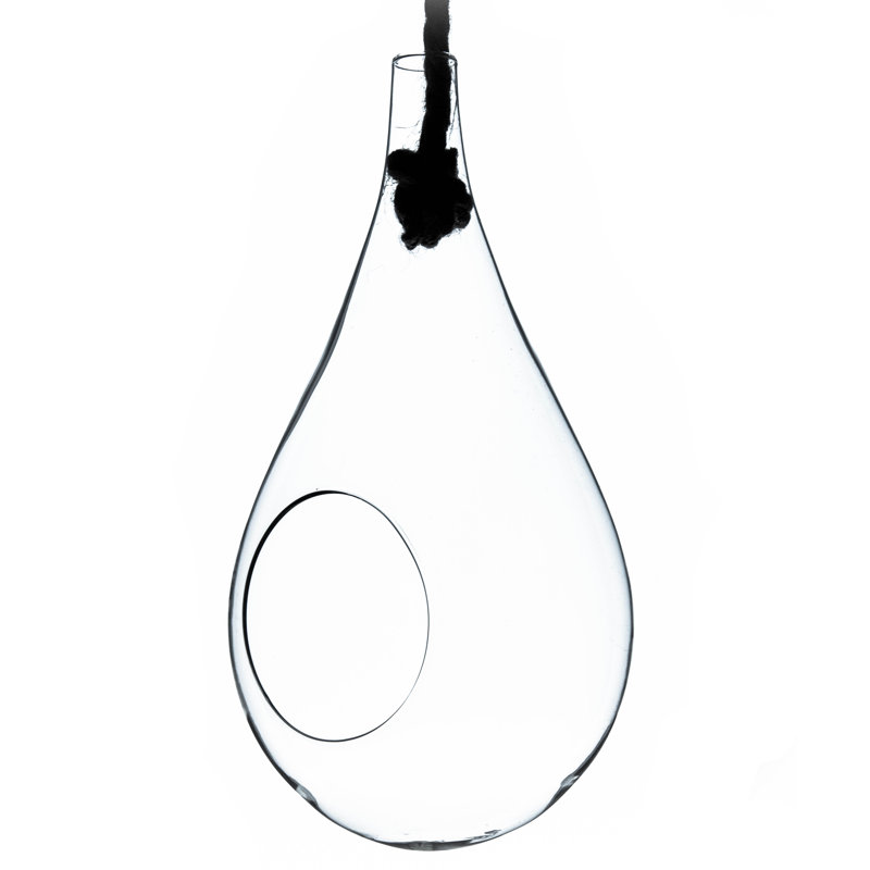 Terrarium en verre Sunbury, H 11 po x l 6 po x P 6 po