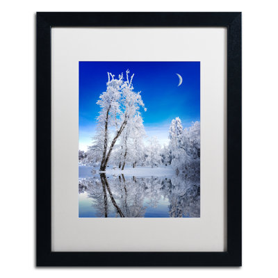 Philippe Sainte-Laudy - Single Picture Frame Photograph on Canvas