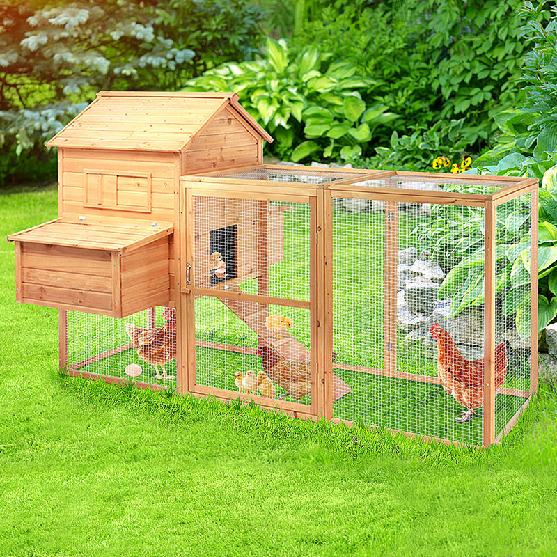 Chicken Coop with Chicken Run