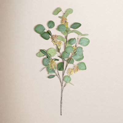 Eucalyptus Blossom Stems