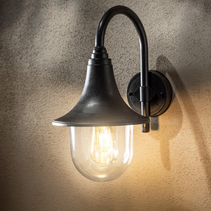 Chacon 41cm H Outdoor Wall Lantern