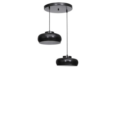 Lustre réglable en métal noir, 2 lumières, 9,8 po x 5,1 po | Douille E27 de 40 W maximum, hauteur: 8,3 à 27,6 pouces | Design industriel élégant, pour la salle à manger et les espaces de vie | Fabrication en métal durable et élégante
