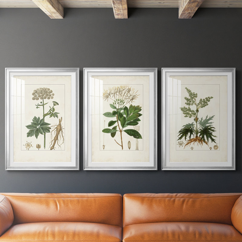 Antique Turpin Botanical I - reproduction sur mesure encadrée de qualité supérieure - 3 pièces, H 15 po x l 19 po