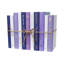 Modern Violet Eclipse ColorPak