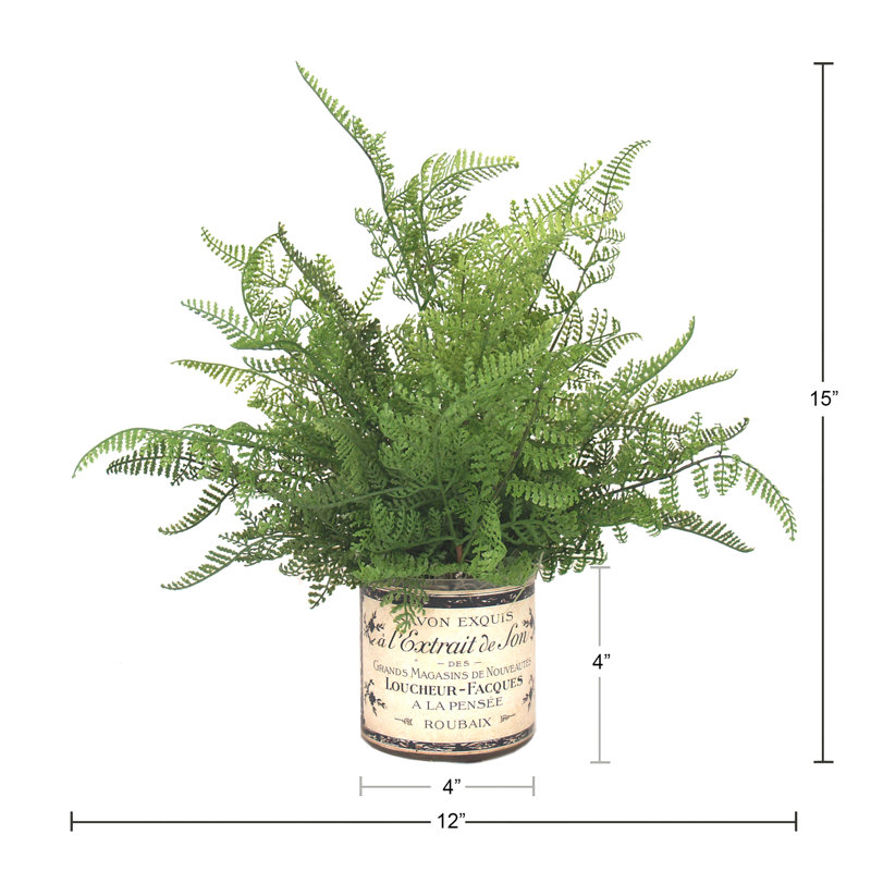 Faux Fern Plant in Glass Vase