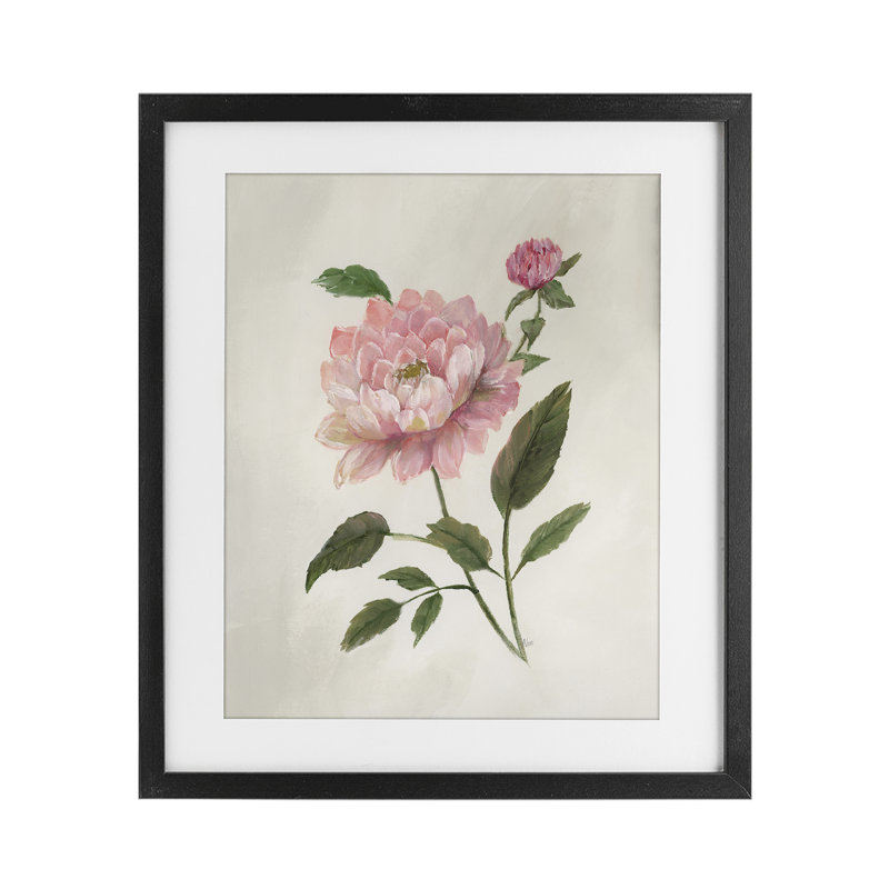 «Rosie Rose Flower Study», reproduction d'art sous verre encadrée par Nan, Cadre noir minuit, H 21 po x l 17 po