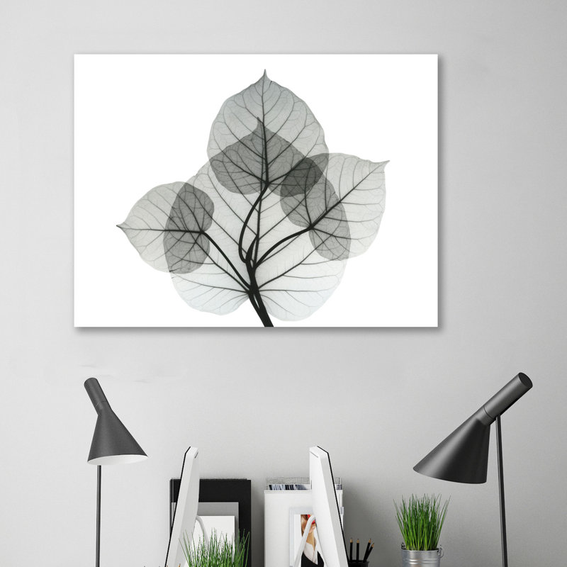 Bo Leaves I - Wrapped Canvas Print, 30 cm H x 41 cm W