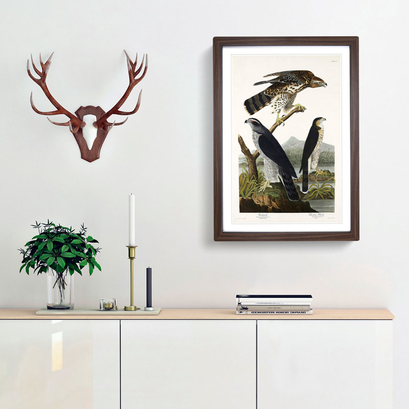 Goshawks & Stanley Hawk by John James Audubon - Picture Frame Painting Print, 87cm H x 62cm W x 2cm D, Walnut Framed