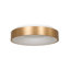 Leday LED Semi Flush Mount-1896788018-1952857902