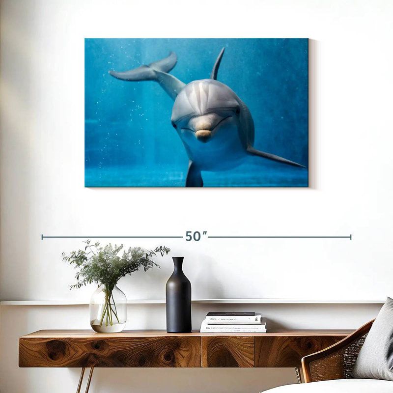 Brampt Friendly Dolphin