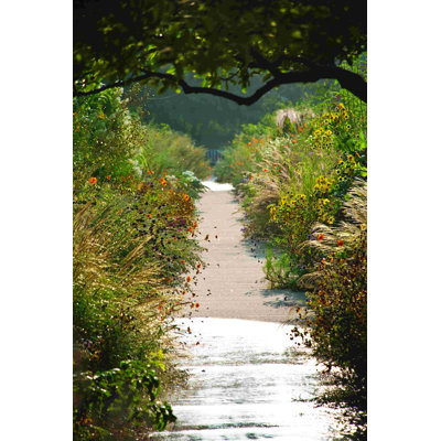 Nature Walk - Photographie sur toile tendue