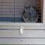 Weather Resistant Rabbit Hutch