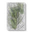 Leaf Pathways - Wrapped Canvas-56663082