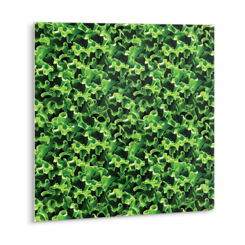Ashantia 30 x 30 cm PVC Tile in Green
