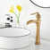 Vessel Sink Faucet Single-handle Bathroom Faucet with Drain Assembly