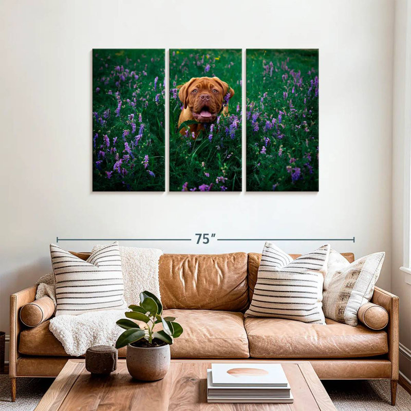 Dogue français Brampt, H 36 po x l 57 po