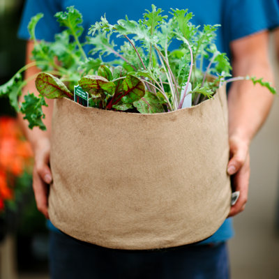 Pot Planter