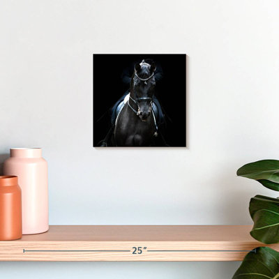Crowle Black Trakehner Horse