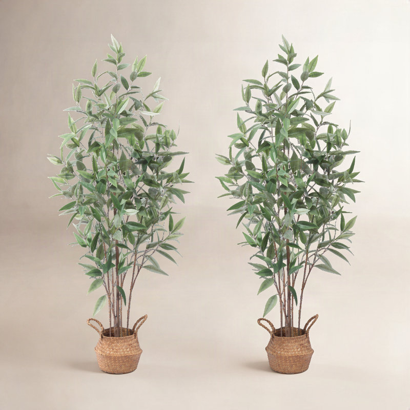 Eucalyptus artificiel Adcock dans un panier, H 47 po x l 16 po x P 16 po, 2