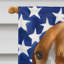 Polyester à 2 côtés 28 x 40 po drapeau maison-1879434097